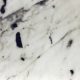 2translucent bianco carrara gioia marble_neu